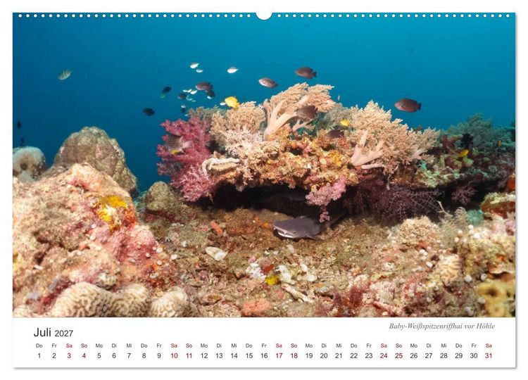 Produktbild: Unterwasser - eine bunte Welt (hochwertiger Premium Wandkalender 2027 DIN A2 quer), Kunstdruck in Hochglanz