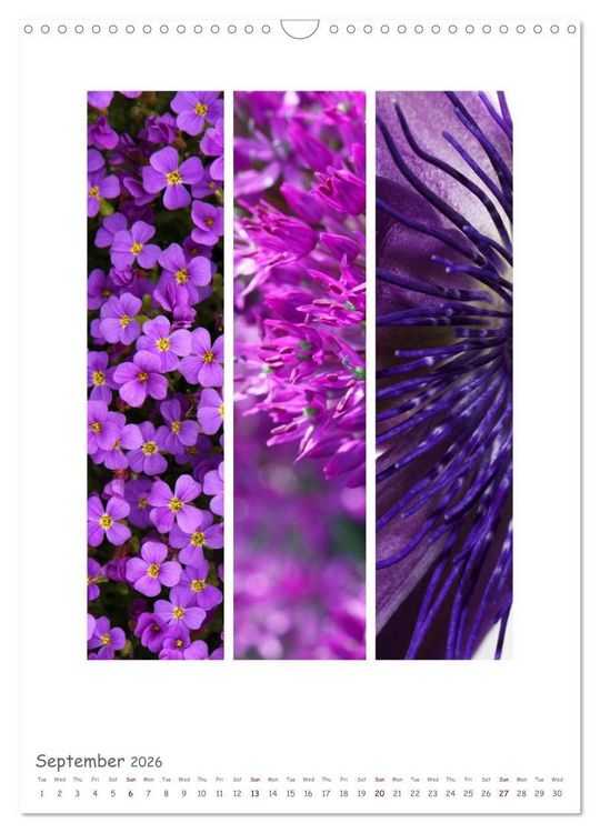 Produktbild: Colours of Nature - Triptycha (Wall Calendar 2026 DIN A3 portrait), CALVENDO 12 Month Wall Calendar