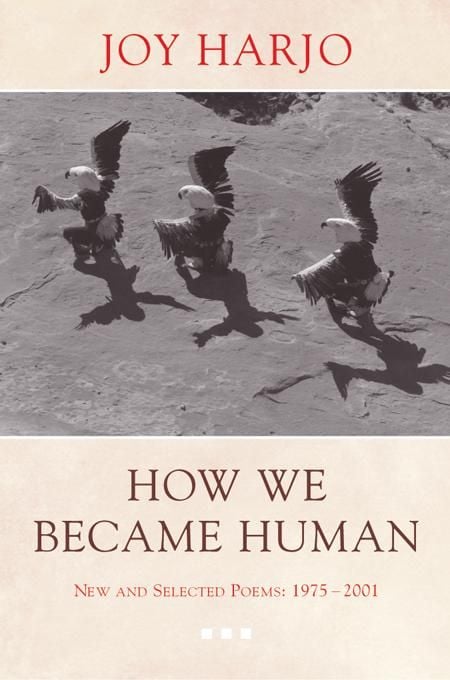 Produktbild: How We Became Human