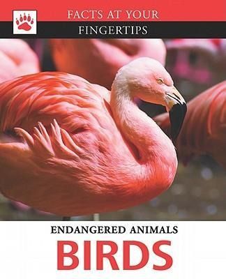 Produktbild: Birds