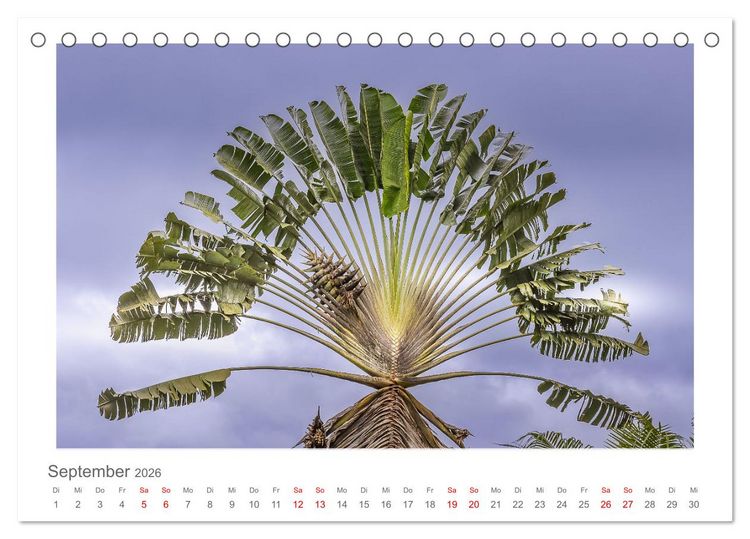 Produktbild: Costa Rica - unterwegs mit Julia Hahn (Tischkalender 2026 DIN A5 quer), CALVENDO Monatskalender