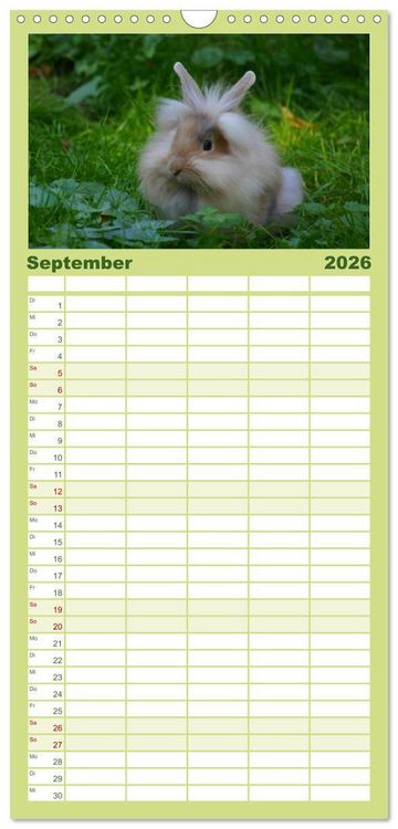 Produktbild: Familienplaner 2026 - Liebenswerte Zwergkaninchen mit 5 Spalten (Wandkalender, 21 x 45 cm) CALVENDO