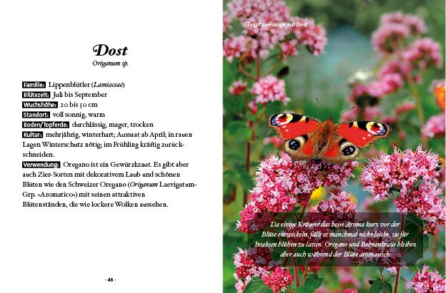 Produktbild: Das kleine Buch: Mein Garten für Bienen & Schmetterlinge