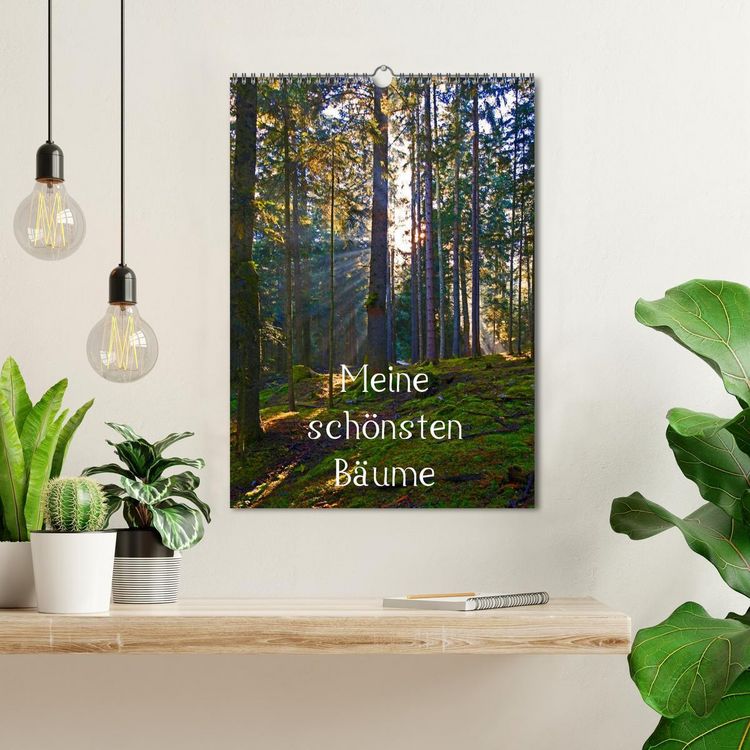 Produktbild: Meine sch&ouml;nsten B&auml;ume (Wandkalender 2026 DIN A3 hoch), CALVENDO Monatskalender