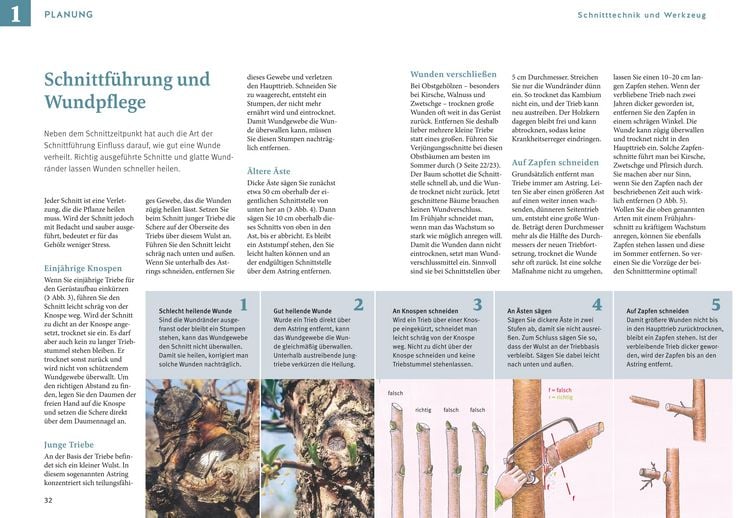 Produktbild: Obstgeh&ouml;lze schneiden