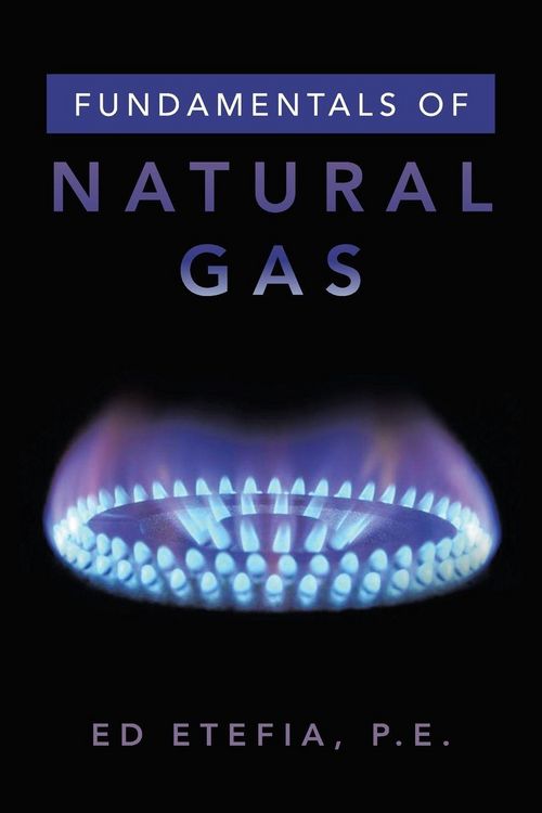 Produktbild: Fundamentals of Natural Gas