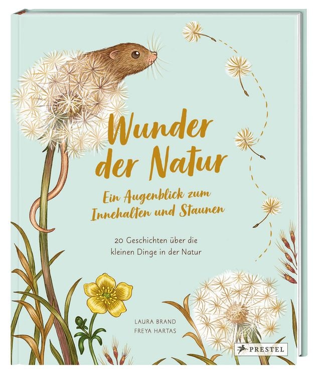 Produktbild: Wunder der Natur. Ein Augenblick zum Innehalten und Staunen