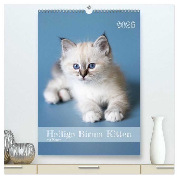 Produktbild: Heilige Birma Kitten Kalender mit Planer (hochwertiger Premium Wandkalender 2026 DIN A2 hoch), Kunstdruck in Hochglanz