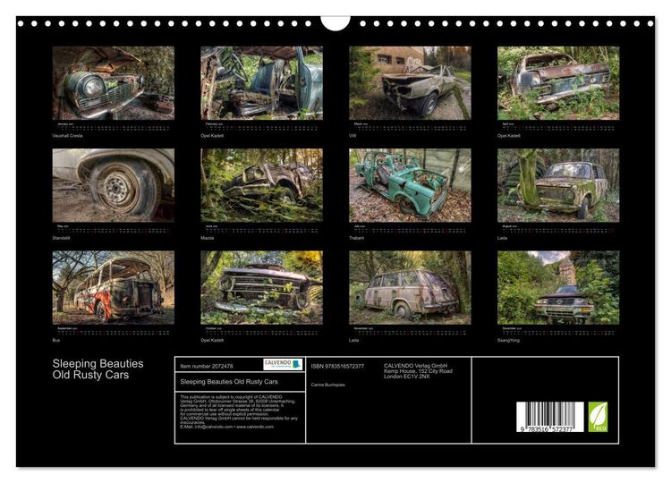 Produktbild: Sleeping Beauties Old Rusty Cars (Wall Calendar 2026 DIN A3 landscape), CALVENDO 12 Month Wall Calendar