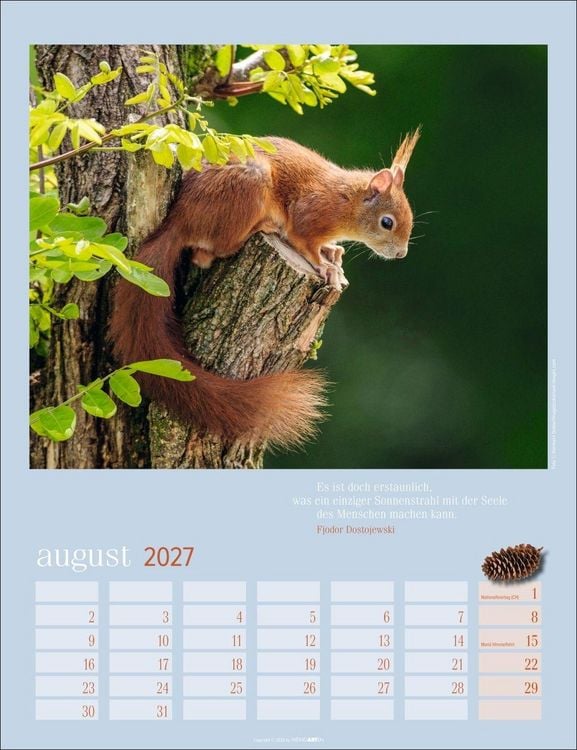 Produktbild: Eichh&ouml;rnchen Kalender 2027