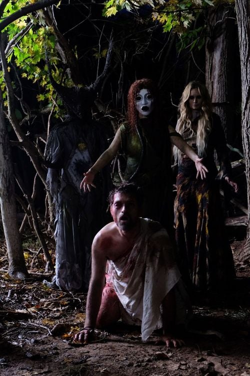 Produktbild: Im Kopf des Killers - A Wounded Fawn