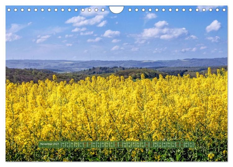 Produktbild: Feldansichten (Wandkalender 2027 DIN A4 quer), CALVENDO Monatskalender