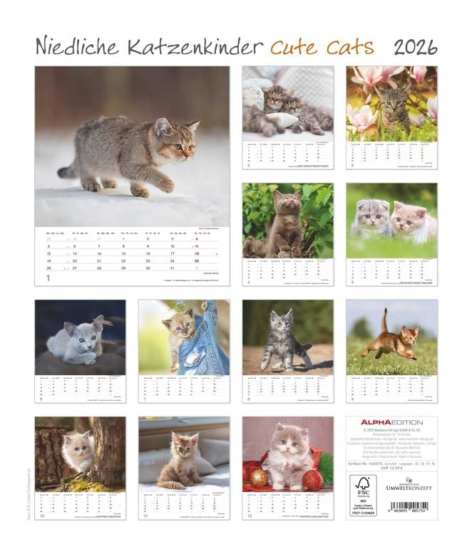 Produktbild: Niedliche Katzenkinder 2026 - Wand-Kalender - Tier-Kalender - 30x34
