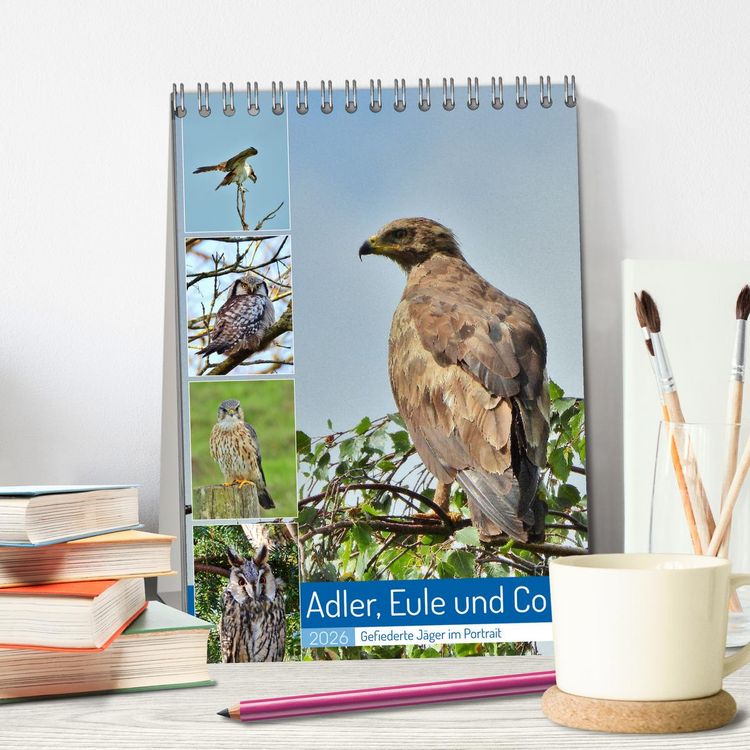 Produktbild: Adler, Eule und Co - Gefiederte J&auml;ger im Portrait (Tischkalender 2026 DIN A5 hoch), CALVENDO Monatskalender
