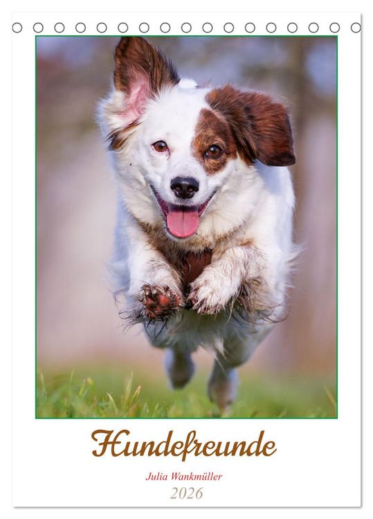 Produktbild: Hundefreunde (Tischkalender 2026 DIN A5 hoch), CALVENDO Monatskalender