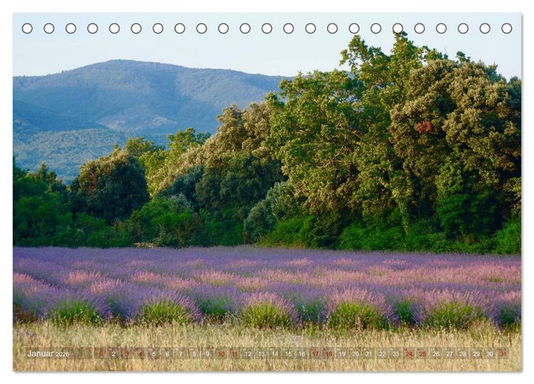 Produktbild: Lavendel. Der Duft der Provence (Tischkalender 2026 DIN A5 quer), CALVENDO Monatskalender