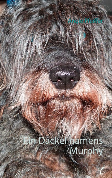 Produktbild: Ein Dackel namens Murphy