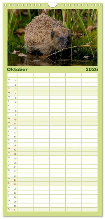 Produktbild: Familienplaner 2026 - Tiere des Waldes mit 5 Spalten (Wandkalender, 21 x 45 cm) CALVENDO