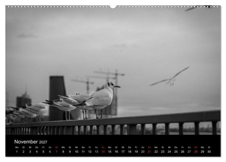Produktbild: Mein Hamburg (Wandkalender 2027 DIN A2 quer), CALVENDO Monatskalender