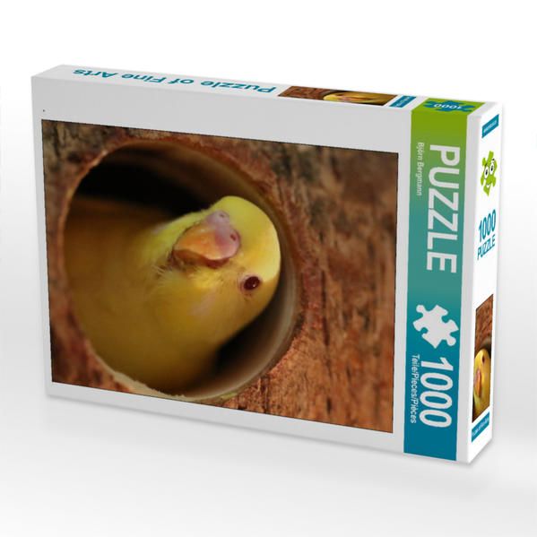 Produktbild: CALVENDO Puzzle | 1000 Teile Lege-Gr&ouml;&szlig;e 64x48cm Foto-Puzzle f&uuml;r gl&uuml;ckliche Stunden