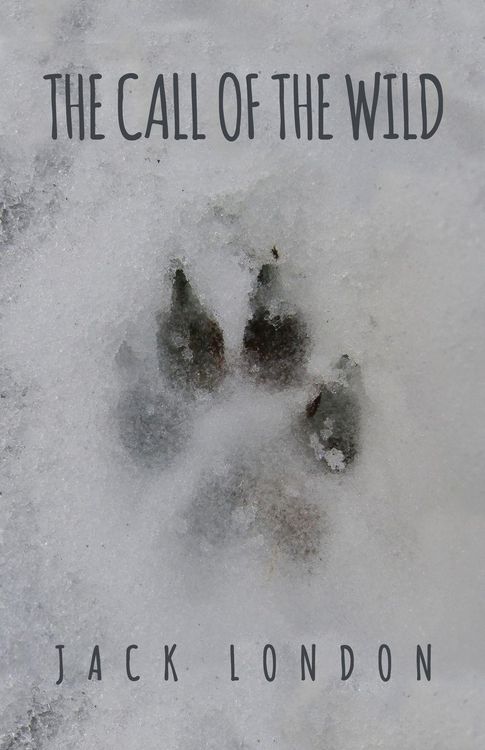 Produktbild: The Call of the Wild
