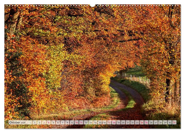 Produktbild: Idyllische Wanderwege im Bergischen Land (Wandkalender 2026 DIN A2 quer), CALVENDO Monatskalender