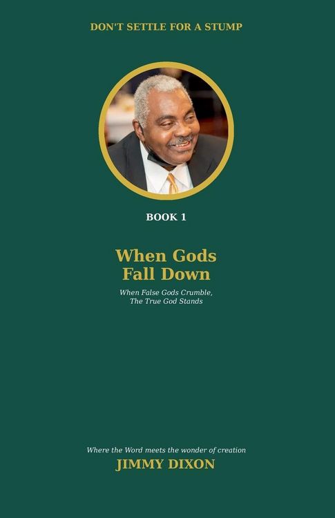 Produktbild: Don't Settle For a Stump Book 1 When Gods Fall Down