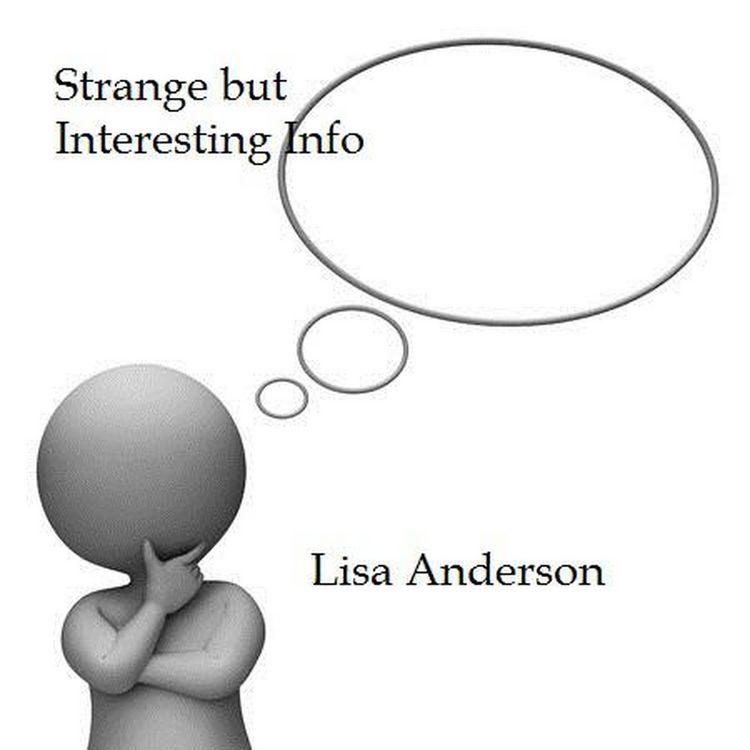 Produktbild: Strange But Interesting Info