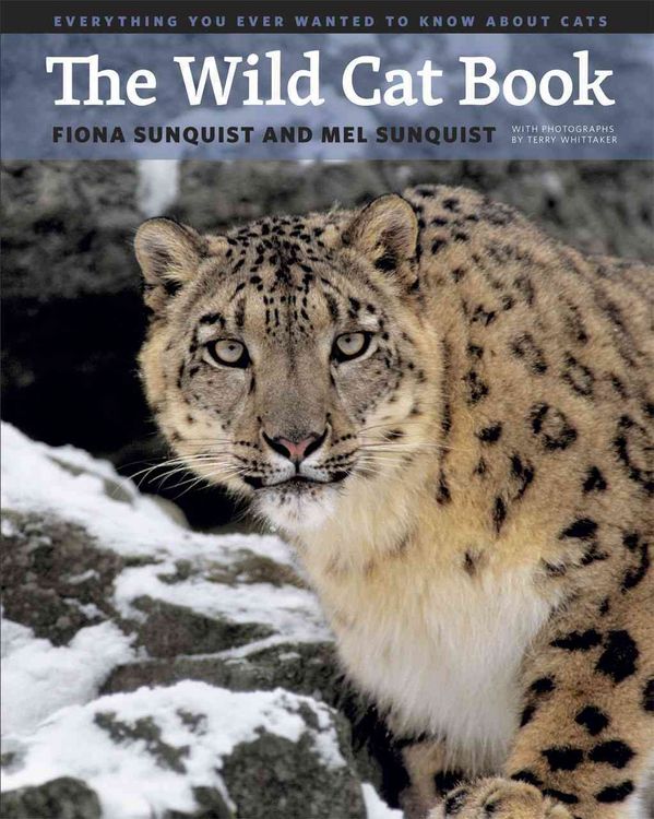 Produktbild: The Wild Cat Book