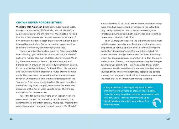 Produktbild: The Bird Watching Answer Book