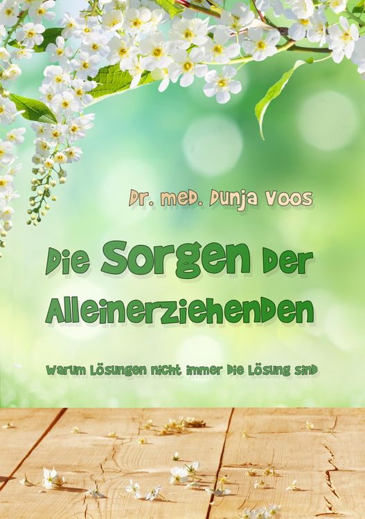 Produktbild: Die Sorgen der Alleinerziehenden