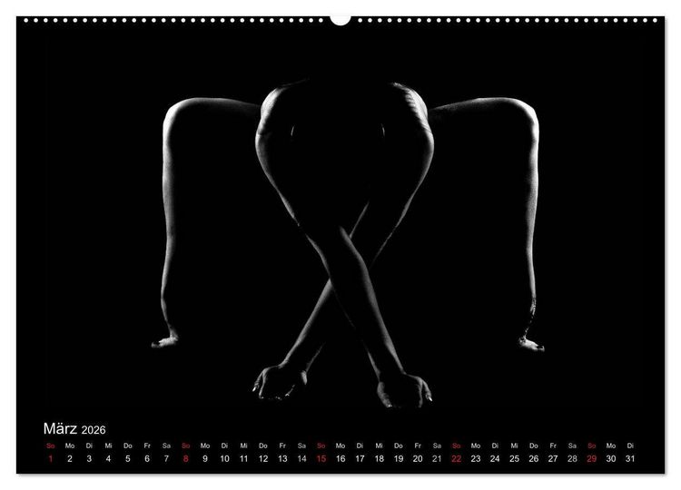 Produktbild: Kunstakt (hochwertiger Premium Wandkalender 2026 DIN A2 quer), Kunstdruck in Hochglanz
