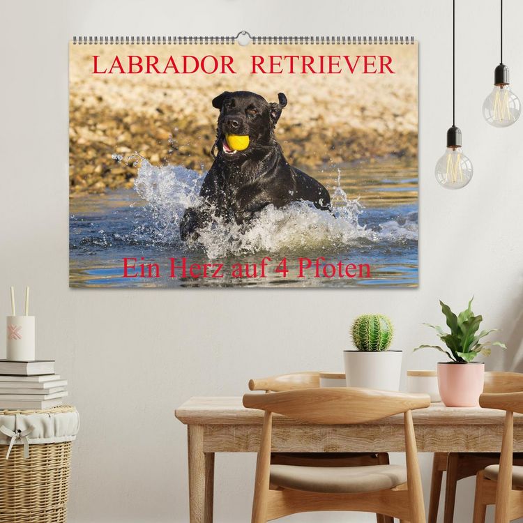 Produktbild: Labrador Retriever - ein Herz auf 4 Pfoten (Wandkalender 2026 DIN A2 quer), CALVENDO Monatskalender