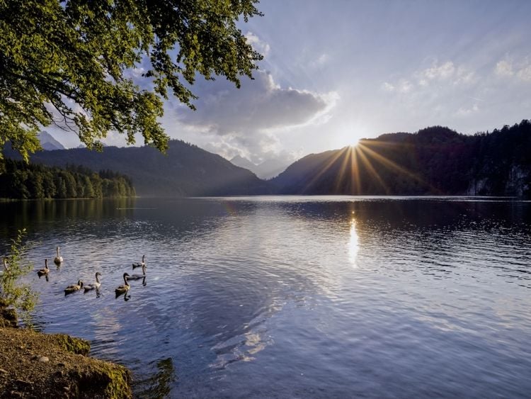 Produktbild: Alpsee bei F&uuml;ssen (Puzzle)
