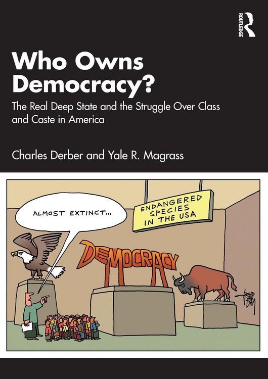 Produktbild: Who Owns Democracy?