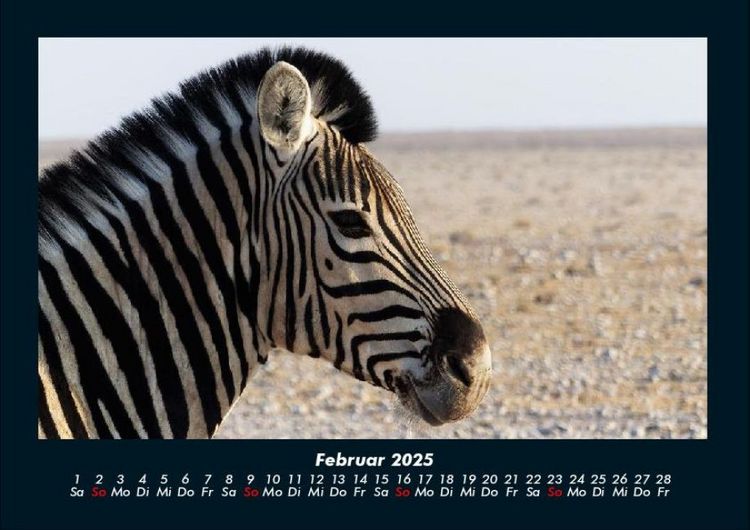 Produktbild: Zebrazauber 2025 Fotokalender DIN A4