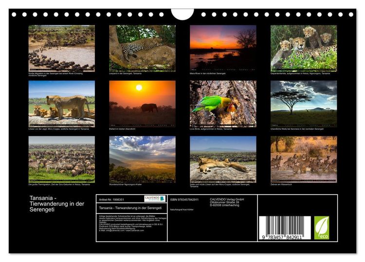 Produktbild: Tansania - Tierwanderung in der Serengeti (Wandkalender 2026 DIN A4 quer), CALVENDO Monatskalender