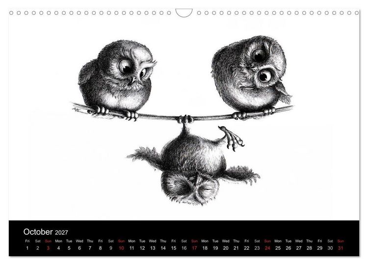Produktbild: owls & friends 2027 (Wall Calendar 2027 DIN A3 landscape), CALVENDO 12 Month Wall Calendar