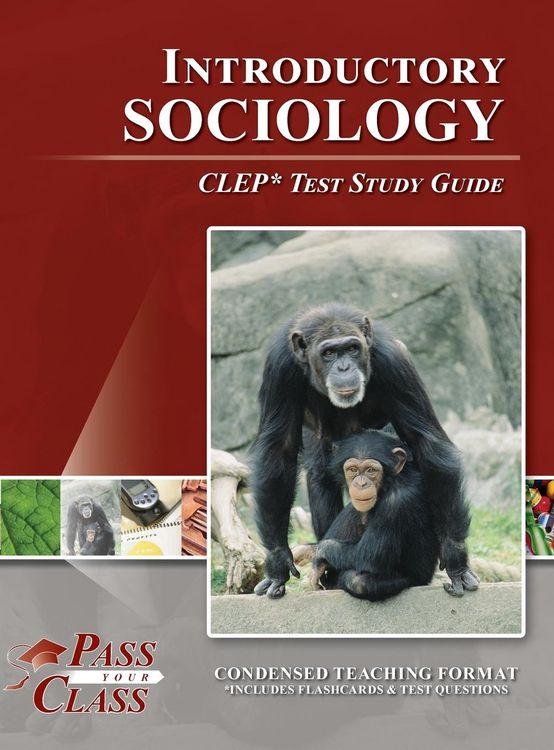 Produktbild: Introduction to Sociology CLEP Test Study Guide