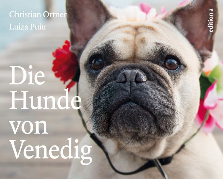 Produktbild: Die Hunde von Venedig