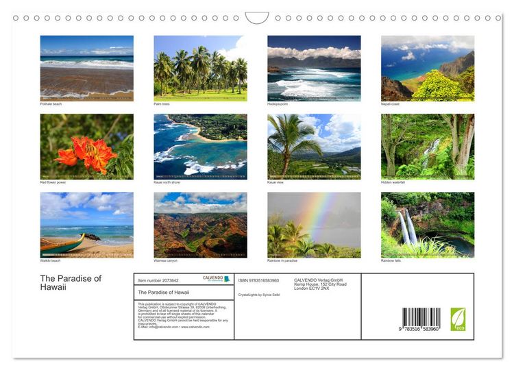 Produktbild: The Paradise of Hawaii (Wall Calendar 2026 DIN A3 landscape), CALVENDO 12 Month Wall Calendar