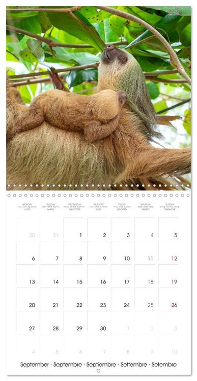 Produktbild: Costa Rica wild and peaceful (Wall Calendar 2027 12 &times; 12 Inch) CALVENDO 12 Month Wall Calendar