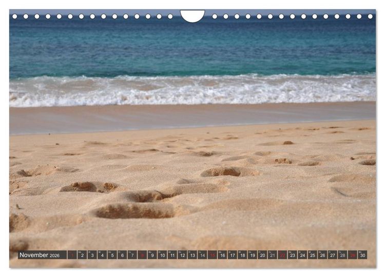 Produktbild: Ich will Meer ! (Wandkalender 2026 DIN A4 quer), CALVENDO Monatskalender