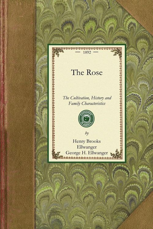 Produktbild: The Rose