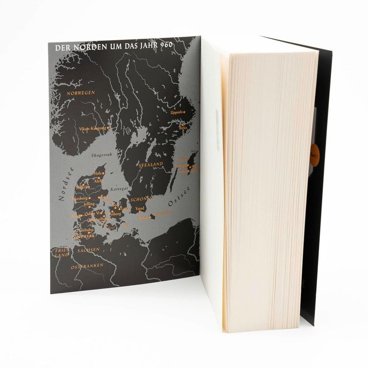 Produktbild: Millennium Kingdom: Der Bastard