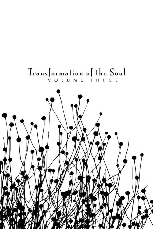 Produktbild: Transformation of the Soul