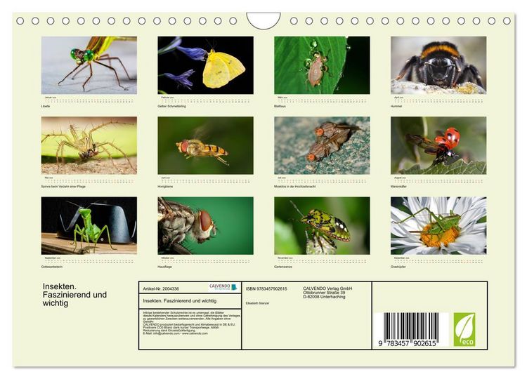 Produktbild: Insekten. Faszinierend und wichtig (Wandkalender 2026 DIN A4 quer), CALVENDO Monatskalender
