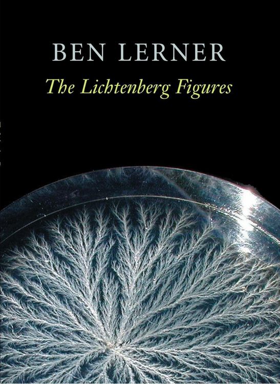 Produktbild: The Lichtenberg Figures