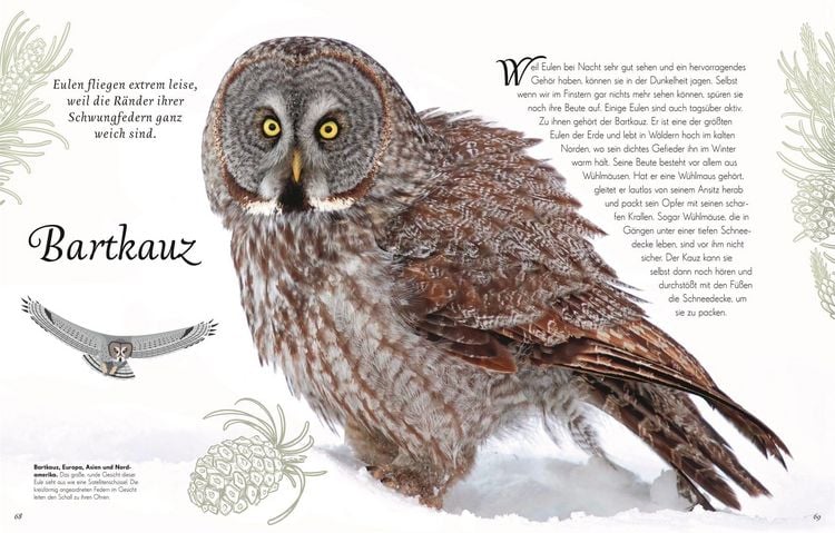 Produktbild: Wundervolle Welt der V&ouml;gel