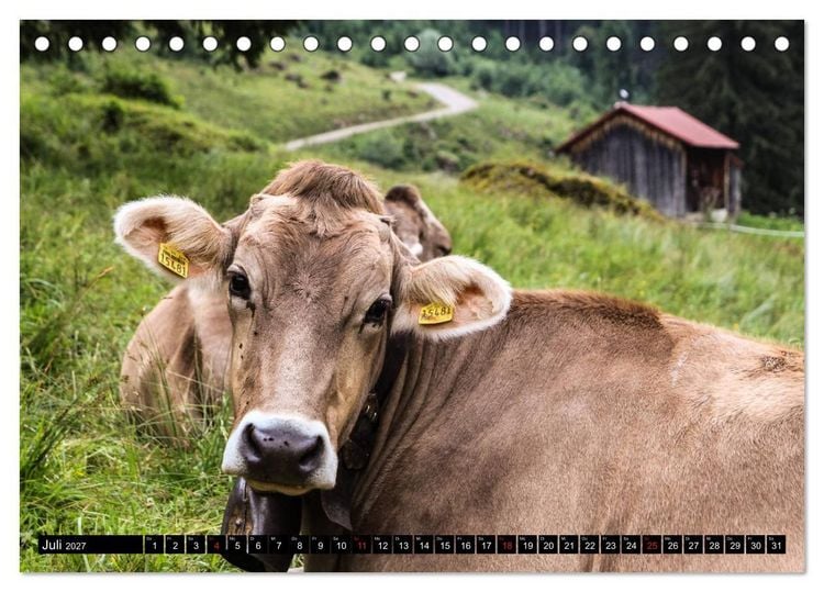 Produktbild: Faszination Allg&auml;u (Tischkalender 2027 DIN A5 quer), CALVENDO Monatskalender
